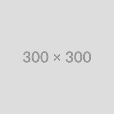 Anthro Studio