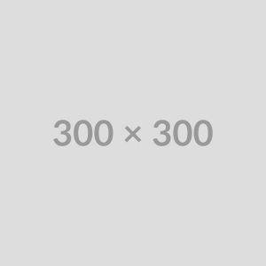 Anthro Studio